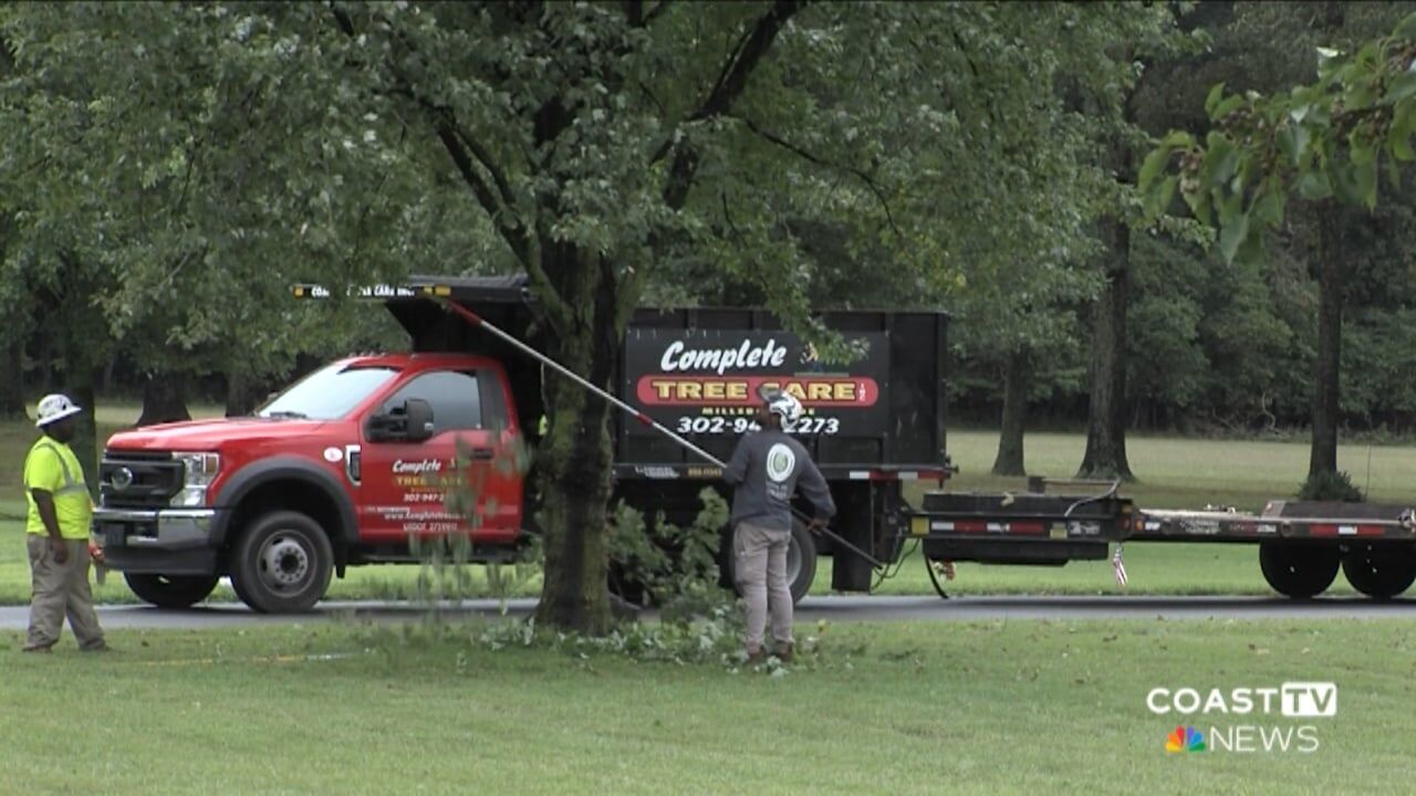 The Ties that Bind Us: Local tree companies give Delaware veterans cemetery a makeover